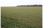 Property photo 16 - Kansas Land Auction - 960 Acres - 7 Farms in 3 Counties